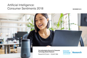 Artificial Intelligence: Consumer Sentiments 2018